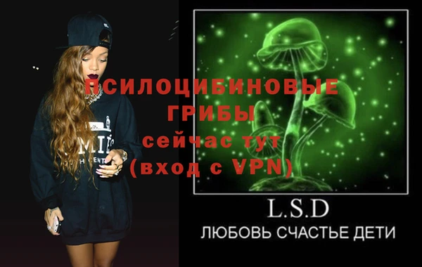 гидропоника Аркадак