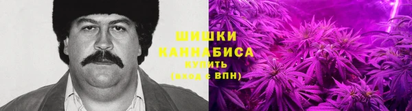 ПСИЛОЦИБИНОВЫЕ ГРИБЫ Арсеньев