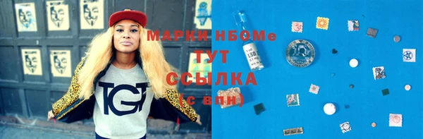 ПСИЛОЦИБИНОВЫЕ ГРИБЫ Арсеньев