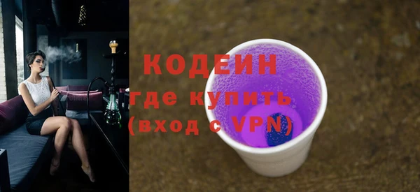 ПСИЛОЦИБИНОВЫЕ ГРИБЫ Арсеньев
